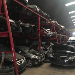 gallery/whatsapp image 2018-11-17 at 17.46.08